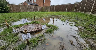 Septic tank problems warning signs